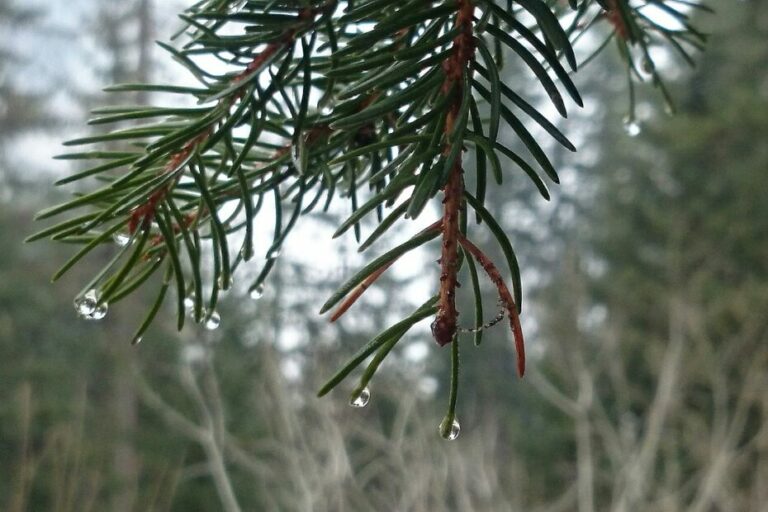 Electricity production from atmospheric humidity An ecological