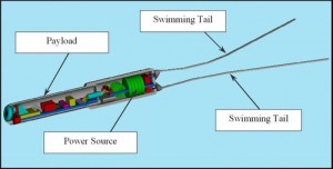 Schéma d'un robot conçu pour nager dans le corps humain