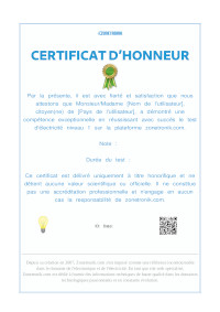 CERTIFICAT-DHONNEUR Zonetronik